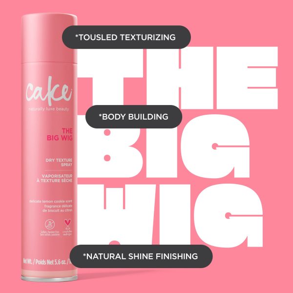 The Big Wig™  Dry Texture Spray, 160g Online Hot Sale