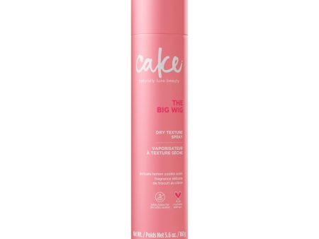 The Big Wig™  Dry Texture Spray, 160g Online Hot Sale